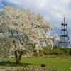 Frühjahr im Killesbergpark